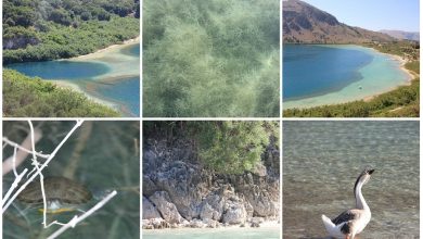 Photo of Оазис спокойствия и красоты