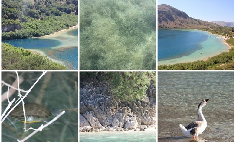 Photo of Оазис спокойствия и красоты