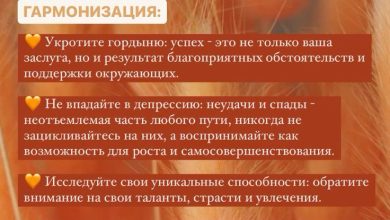 Photo of Эксклюзивные мероприятия и программы